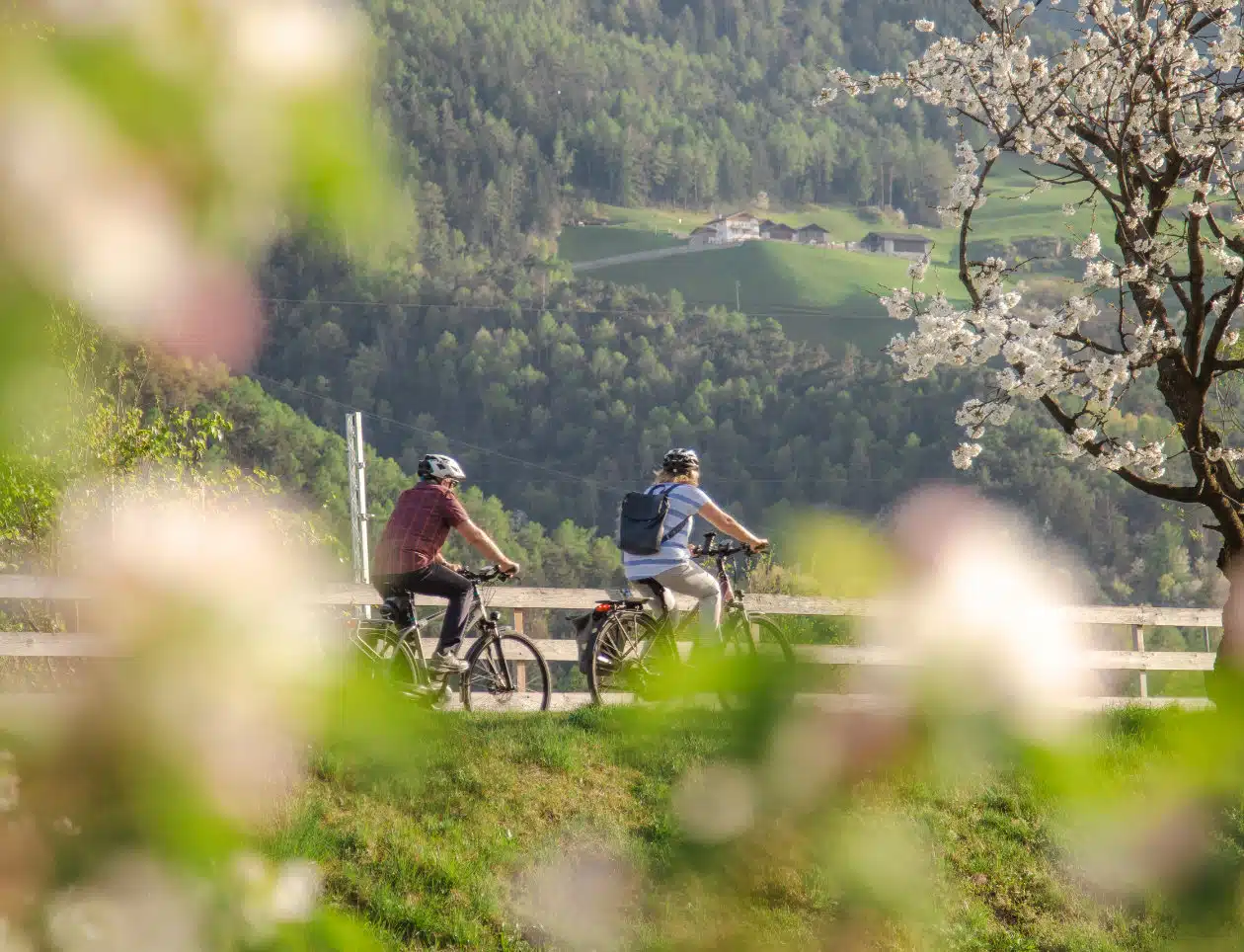 Frühling, Radfahren, Blüte, TG Naturns_Fotostudio 2000 (1)